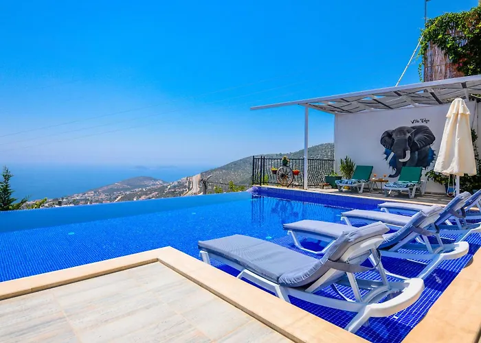 Sea View For 10 People In Kalkan Villa *